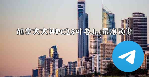 加拿大大神PC28叶喜Jnd最准预测
