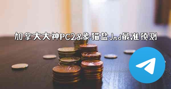 加拿大大神PC28象猫盐Jnd最准预测