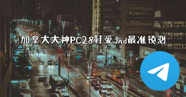 加拿大大神PC28鞋爱Jnd最准预测