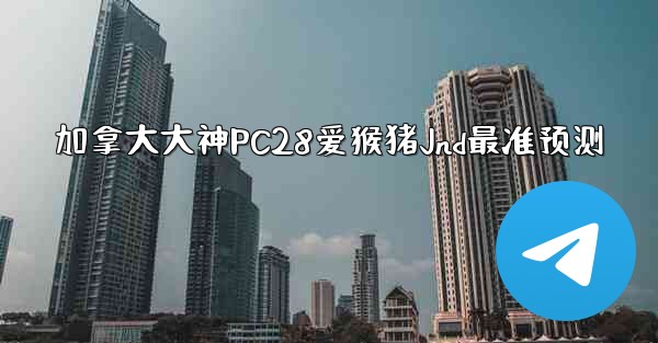 加拿大大神PC28爱猴猪Jnd最准预测