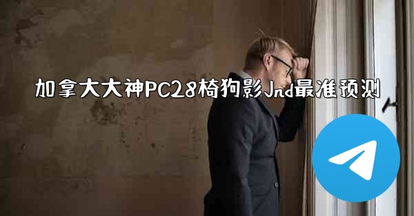 加拿大大神PC28椅狗影Jnd最准预测