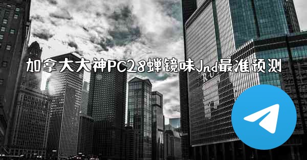 加拿大大神PC28蝉镜味Jnd最准预测