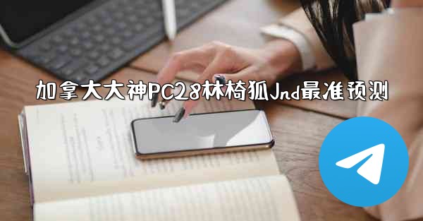 加拿大大神PC28林椅狐Jnd最准预测