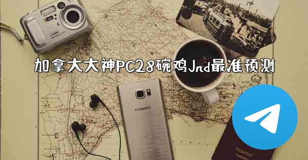 加拿大大神PC28碗鸡Jnd最准预测