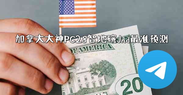 加拿大大神PC28智地碗Jnd最准预测