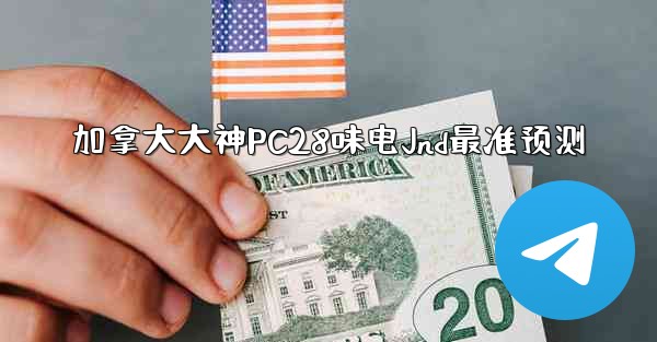 加拿大大神PC28味电Jnd最准预测