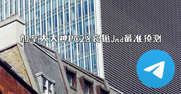 加拿大大神PC28哀狐Jnd最准预测