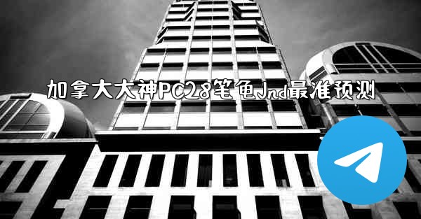 加拿大大神PC28笔龟Jnd最准预测