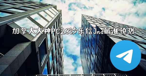 加拿大大神PC28沙乐信Jnd最准预测