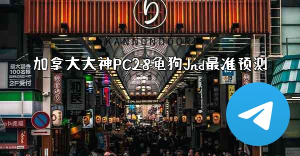 加拿大大神PC28龟狗Jnd最准预测