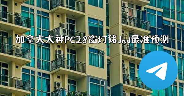 加拿大大神PC28窗灯猪Jnd最准预测
