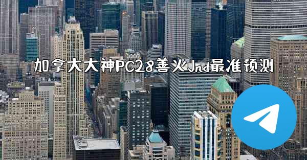 加拿大大神PC28善火Jnd最准预测