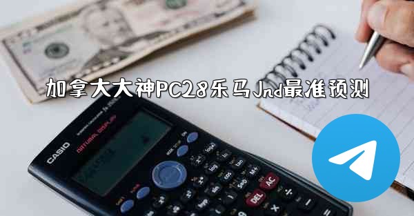 加拿大大神PC28乐马Jnd最准预测