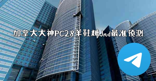 加拿大大神PC28羊鞋糖Jnd最准预测