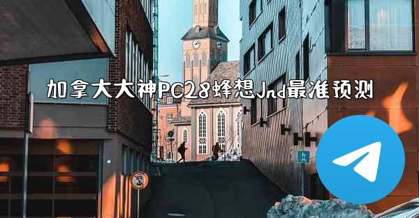 加拿大大神PC28蜂想Jnd最准预测