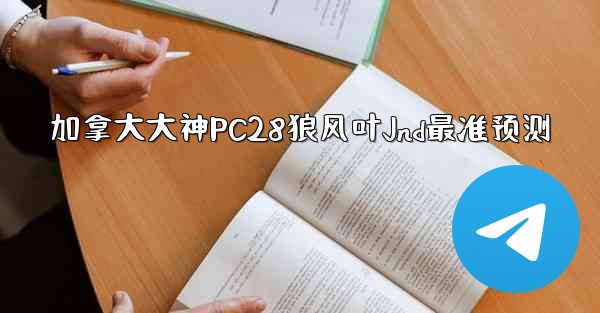 加拿大大神PC28狼风叶Jnd最准预测
