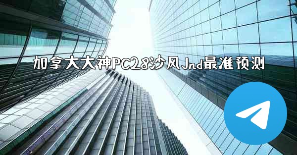 加拿大大神PC28沙风Jnd最准预测