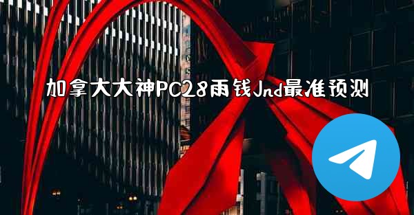 加拿大大神PC28雨钱Jnd最准预测