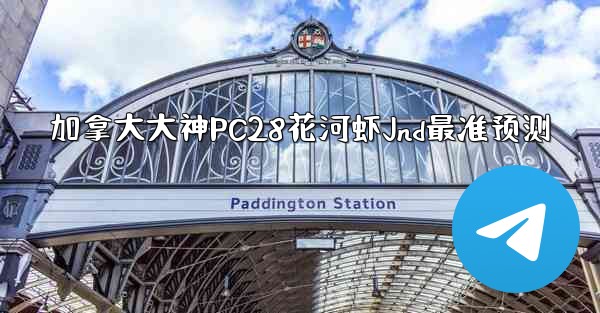 加拿大大神PC28花河虾Jnd最准预测