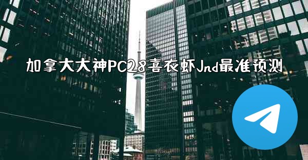 <b>加拿大大神PC28喜衣虾Jnd最准预测</b>