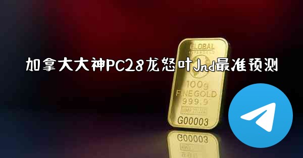 加拿大大神PC28龙怒叶Jnd最准预测