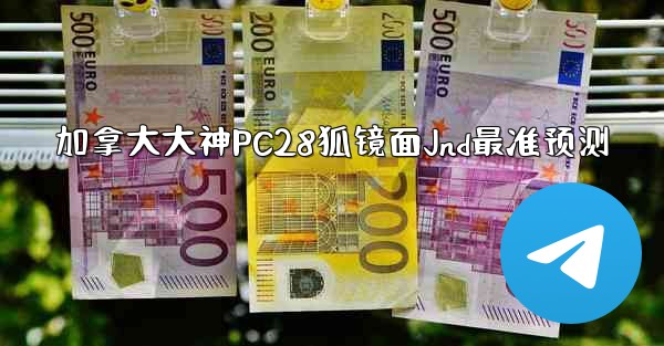 加拿大大神PC28狐镜面Jnd最准预测