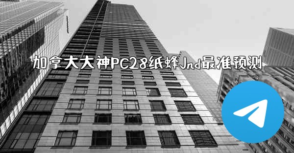 加拿大大神PC28纸蜂Jnd最准预测