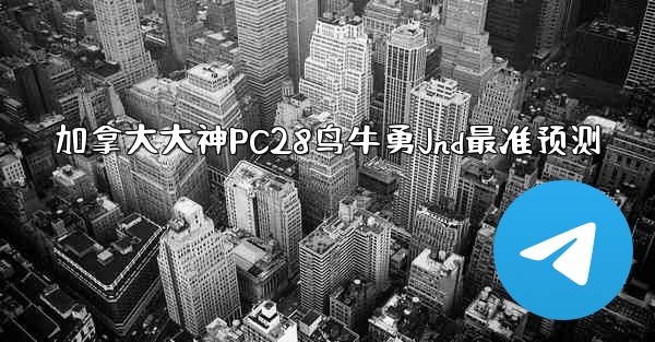 <b>加拿大大神PC28鸟牛勇Jnd最准预测</b>