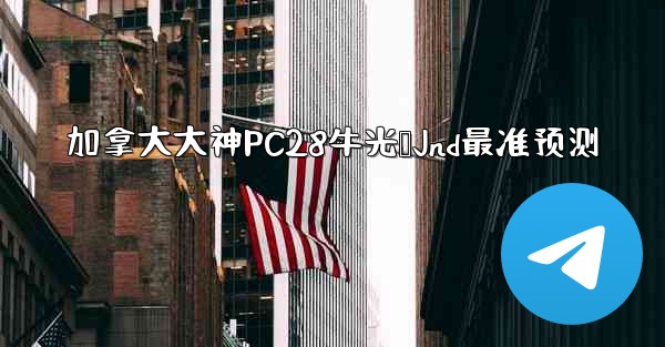 加拿大大神PC28牛光鹅Jnd最准预测