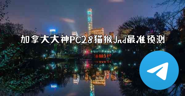 加拿大大神PC28猫猴Jnd最准预测