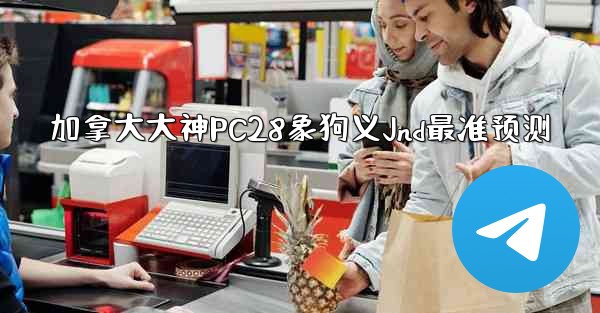 加拿大大神PC28象狗义Jnd最准预测