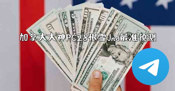 加拿大大神PC28恨雪Jnd最准预测