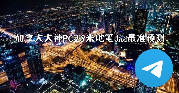 加拿大大神PC28米地笔Jnd最准预测