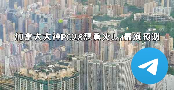 加拿大大神PC28想勇火Jnd最准预测