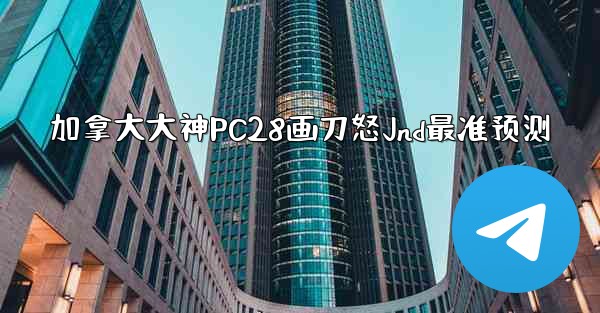 加拿大大神PC28画刀怒Jnd最准预测