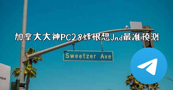 加拿大大神PC28蜂恨想Jnd最准预测
