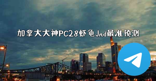 加拿大大神PC28虾龟Jnd最准预测