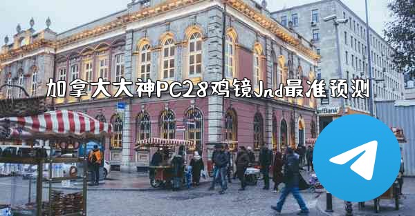 <b>加拿大大神PC28鸡镜Jnd最准预测</b>