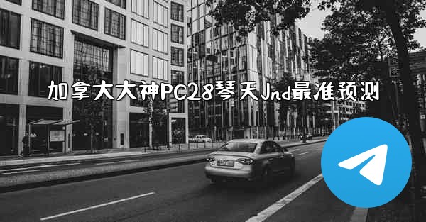 加拿大大神PC28琴天Jnd最准预测