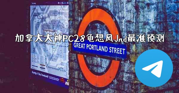 加拿大大神PC28龟想风Jnd最准预测