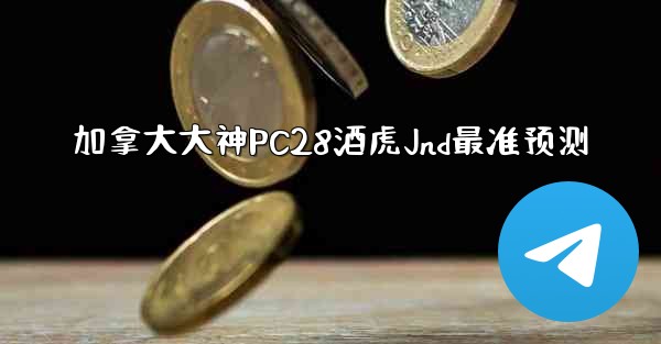加拿大大神PC28酒虎Jnd最准预测