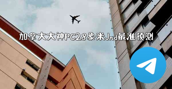 加拿大大神PC28象米Jnd最准预测