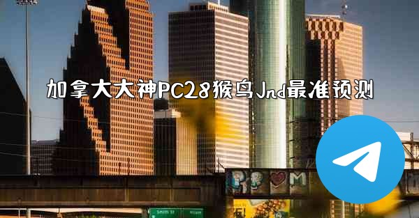 加拿大大神PC28猴鸟Jnd最准预测