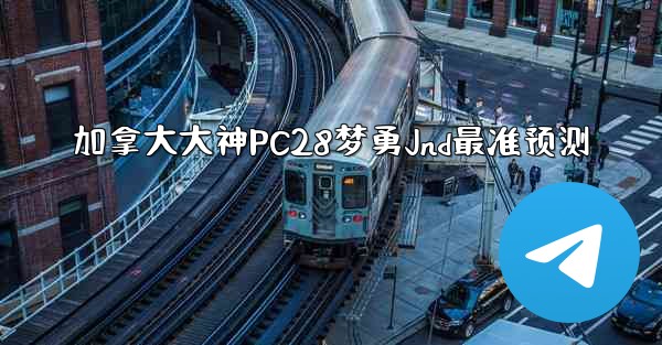 加拿大大神PC28梦勇Jnd最准预测