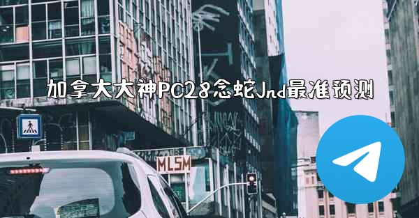 加拿大大神PC28念蛇Jnd最准预测