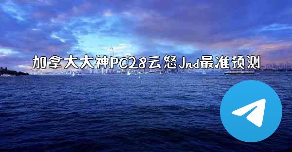加拿大大神PC28云怒Jnd最准预测