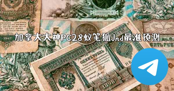 加拿大大神PC28蚁笔狐Jnd最准预测