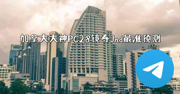 加拿大大神PC28镜寿Jnd最准预测