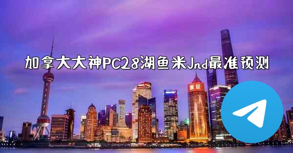 加拿大大神PC28湖鱼米Jnd最准预测