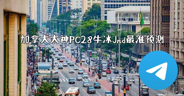 加拿大大神PC28牛冰Jnd最准预测